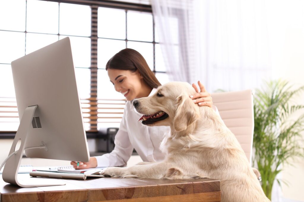A woman is sitting at a desk with a dog and a computer.